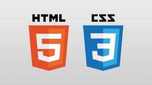 HTML5 CSS3 Icon